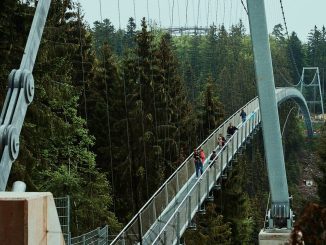 wildline haengebruecke